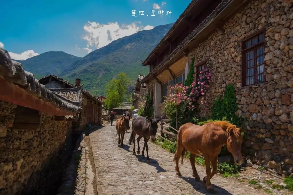 麗江·我們宿約，融入當(dāng)?shù)氐奈幕罡腥久總€(gè)人