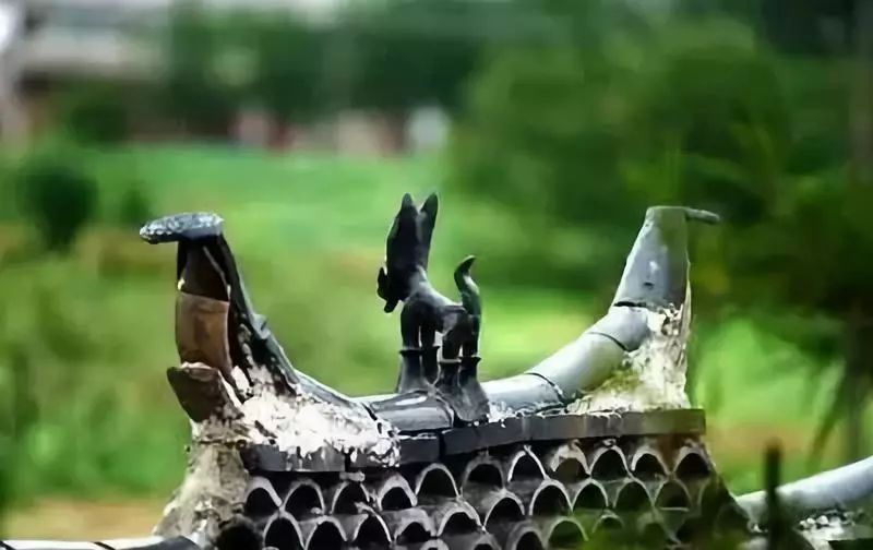 麗江·我們宿約，融入當(dāng)?shù)氐奈幕罡腥久總€(gè)人