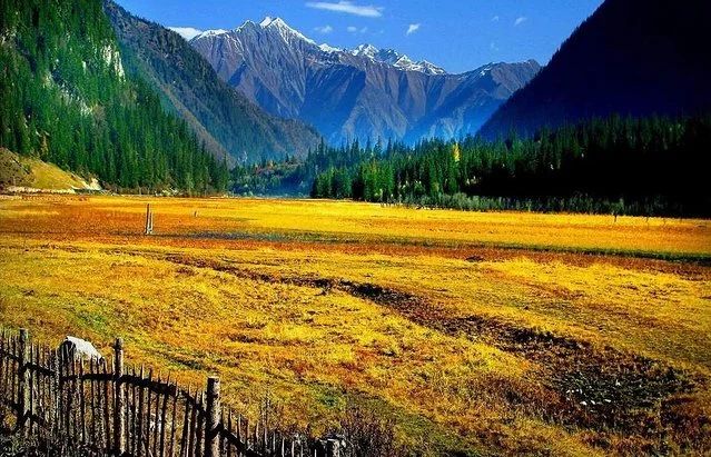 麗江·我們宿約，融入當(dāng)?shù)氐奈幕罡腥久總€(gè)人