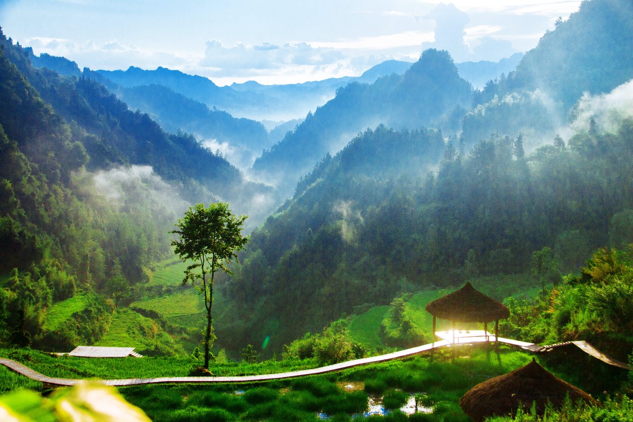 張家界·五號山谷，山谷在重生！