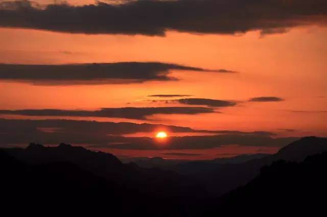 張家界·五號山谷，山谷在重生！