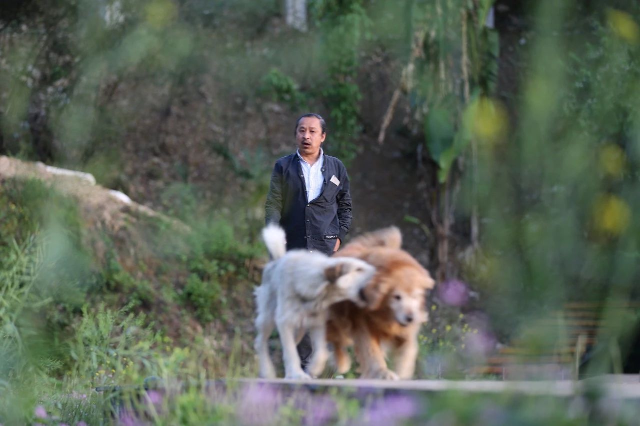 張家界·五號山谷，山谷在重生！