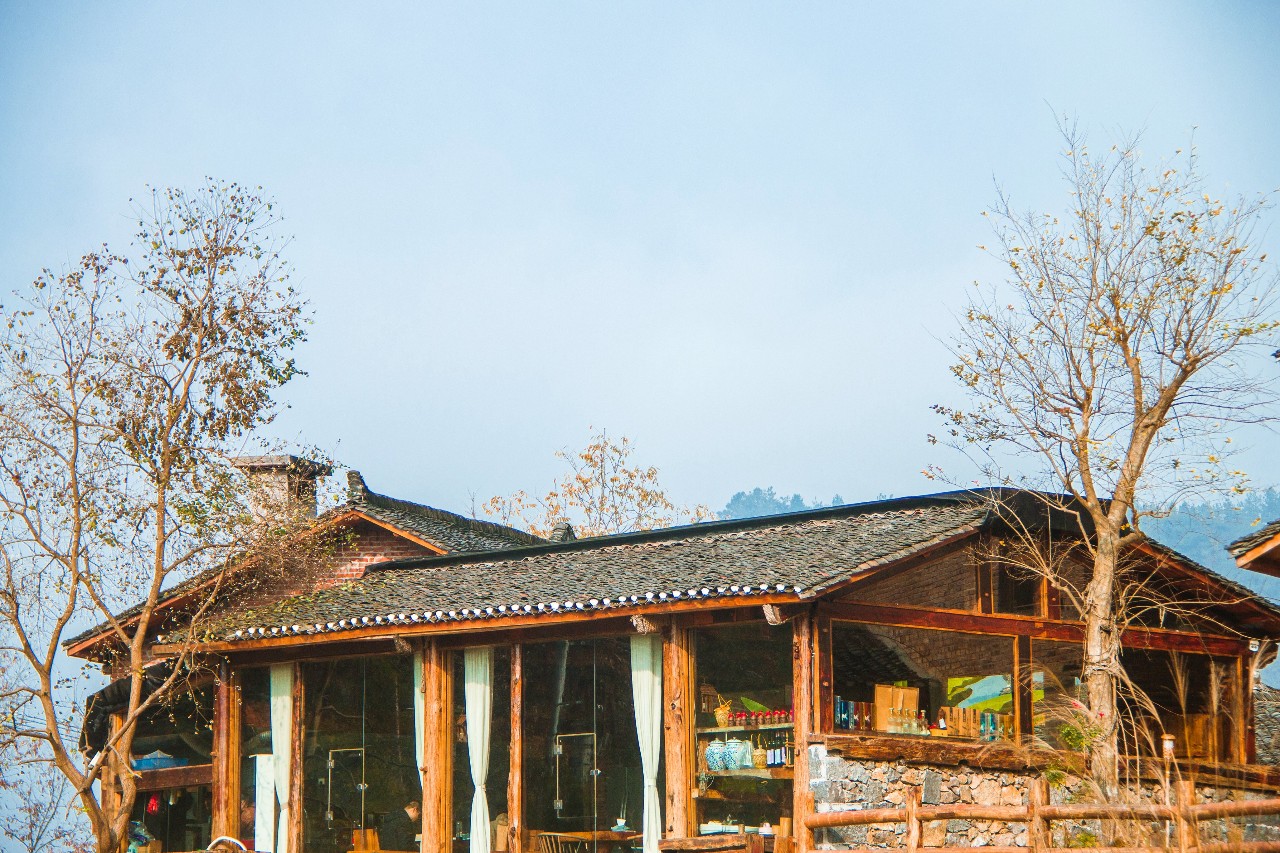 張家界·五號山谷，山谷在重生！