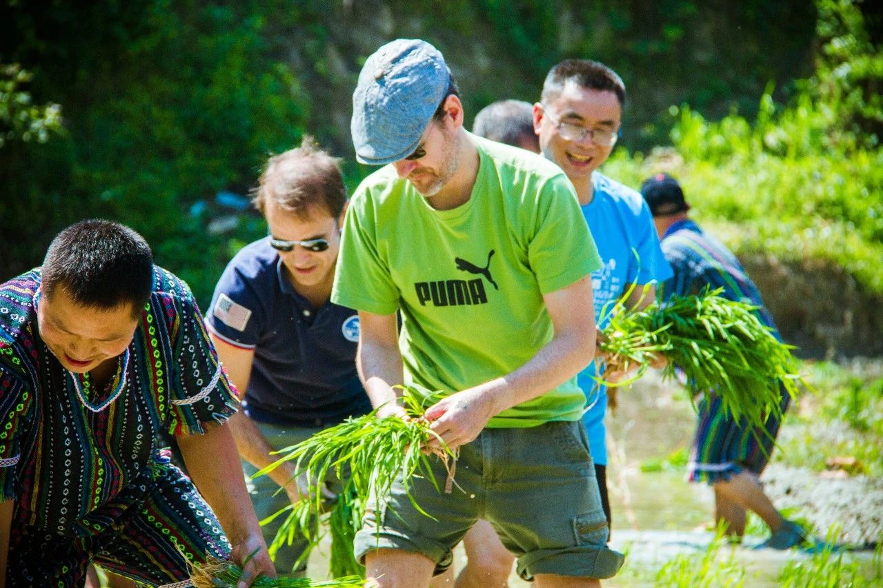 張家界·五號(hào)山谷，山谷在重生！