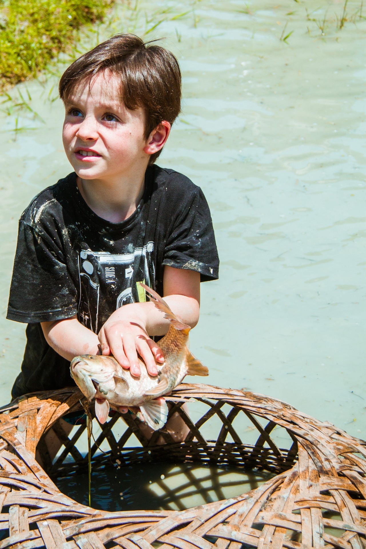張家界·五號(hào)山谷，山谷在重生！