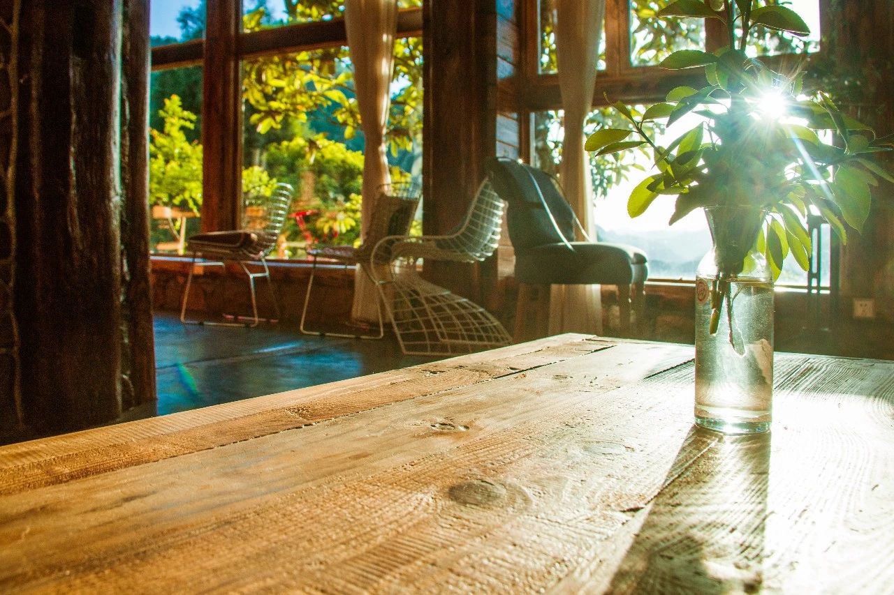 張家界·五號(hào)山谷，山谷在重生！