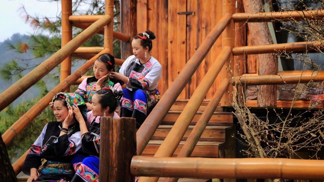 張家界·五號(hào)山谷，山谷在重生！