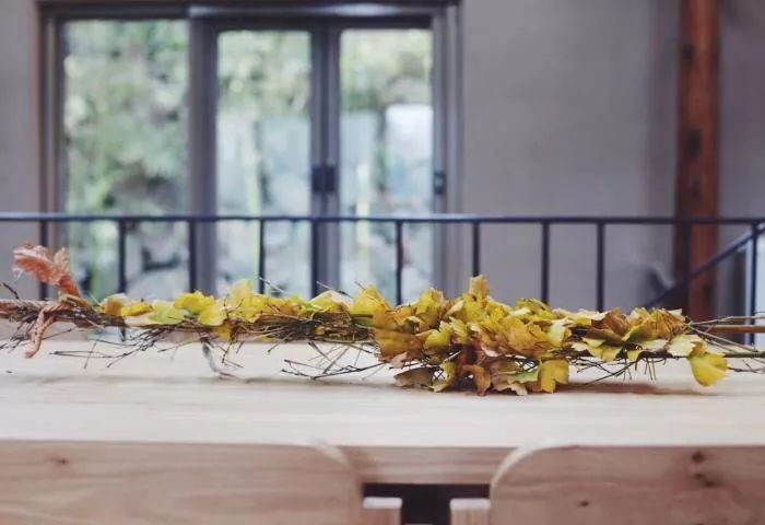 臨安·余來(lái)，讓生活重啟