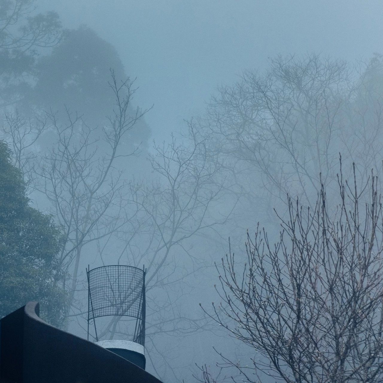 臨安·余來(lái)，讓生活重啟