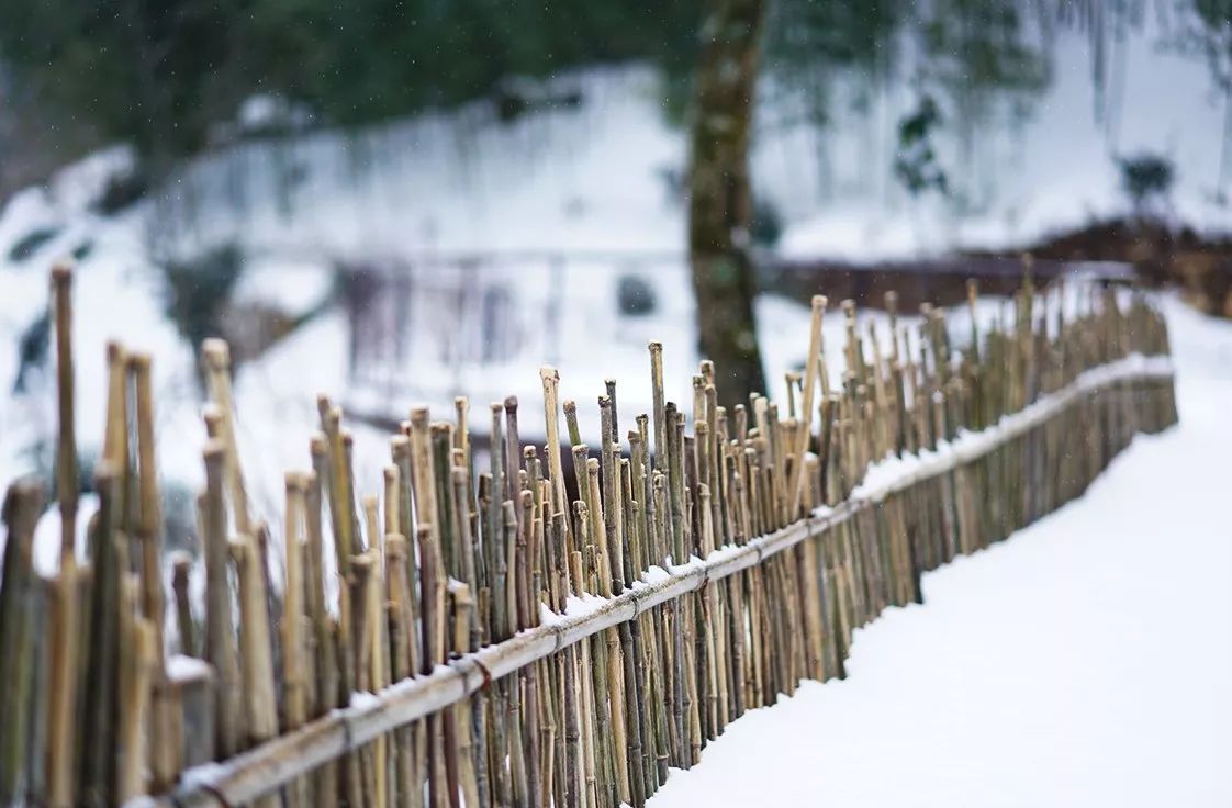 臨安·余來(lái)，讓生活重啟