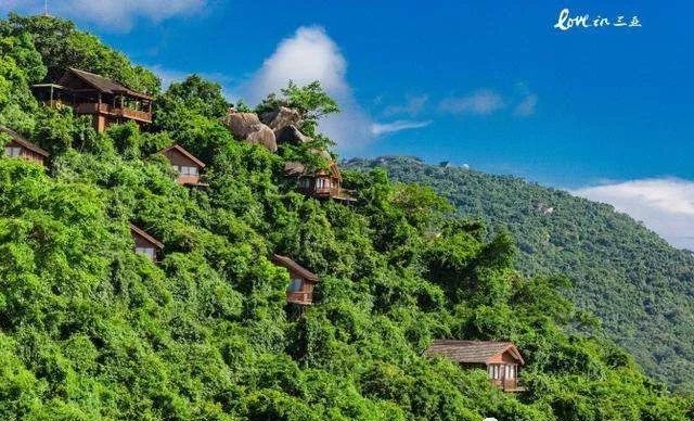 樹梢上的別墅建筑：6個(gè)比較火的“巢居”案例