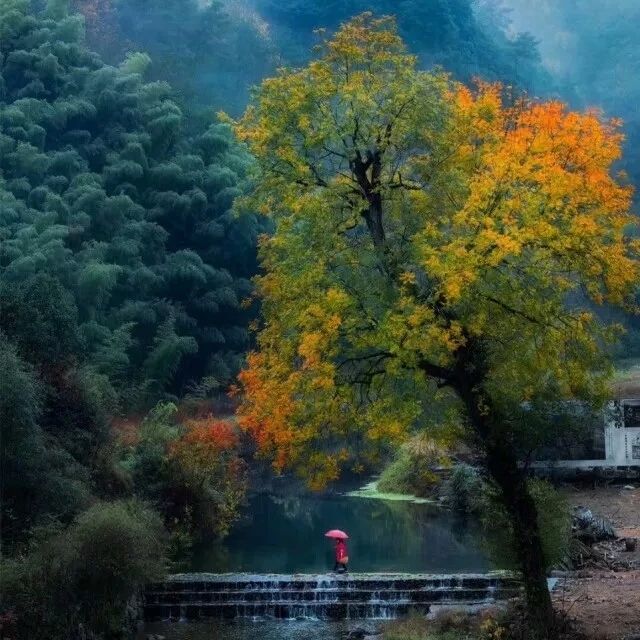 金華·村尚村宿，認(rèn)識自然尋回久違的童真