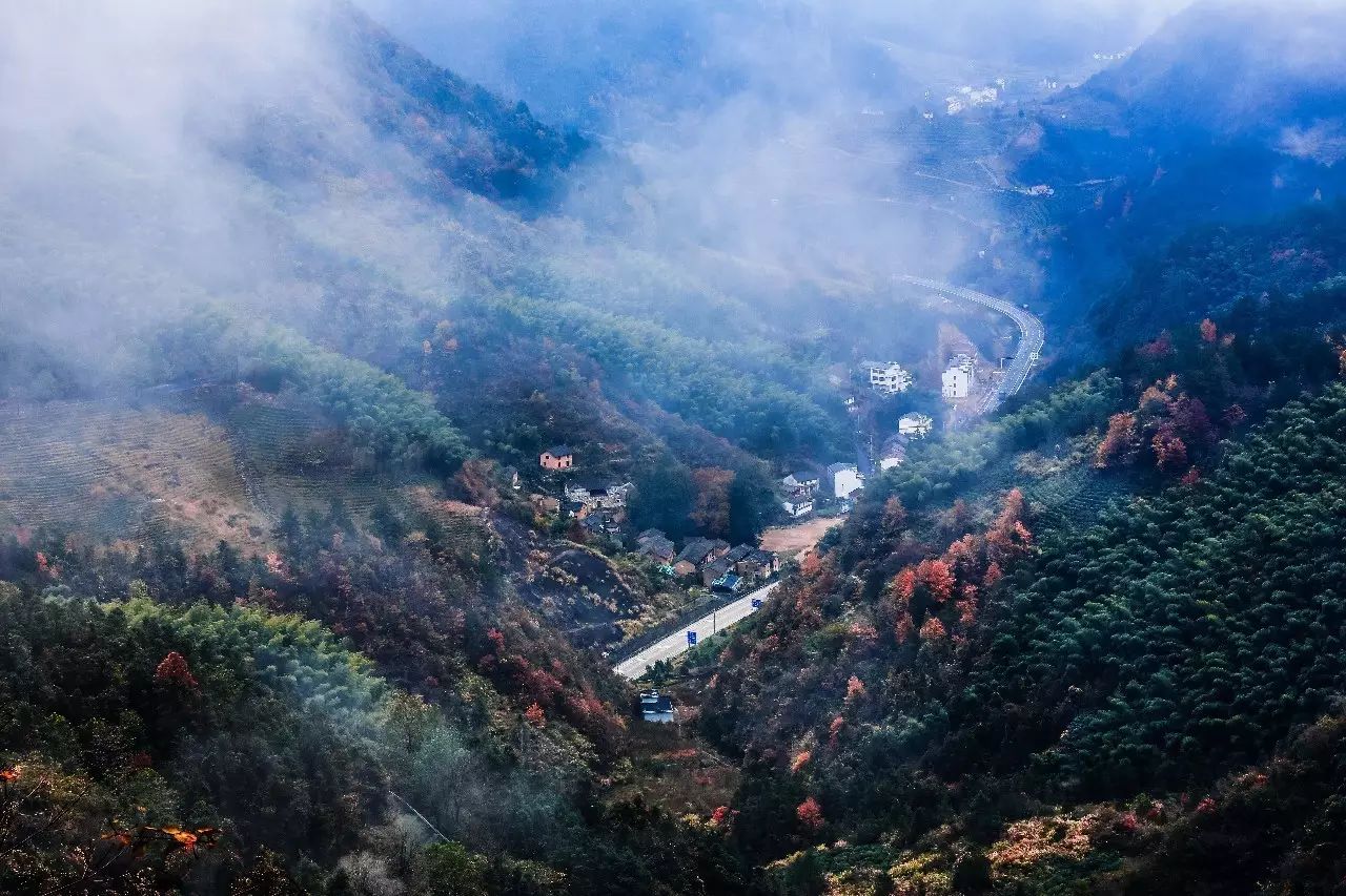 金華·村尚村宿，認(rèn)識自然尋回久違的童真