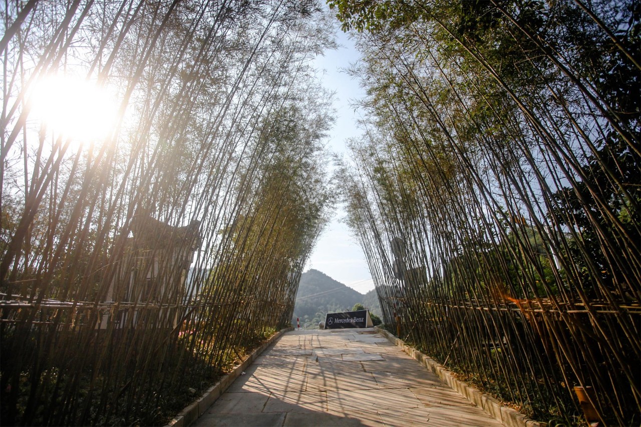 金華·村尚村宿，認(rèn)識自然尋回久違的童真