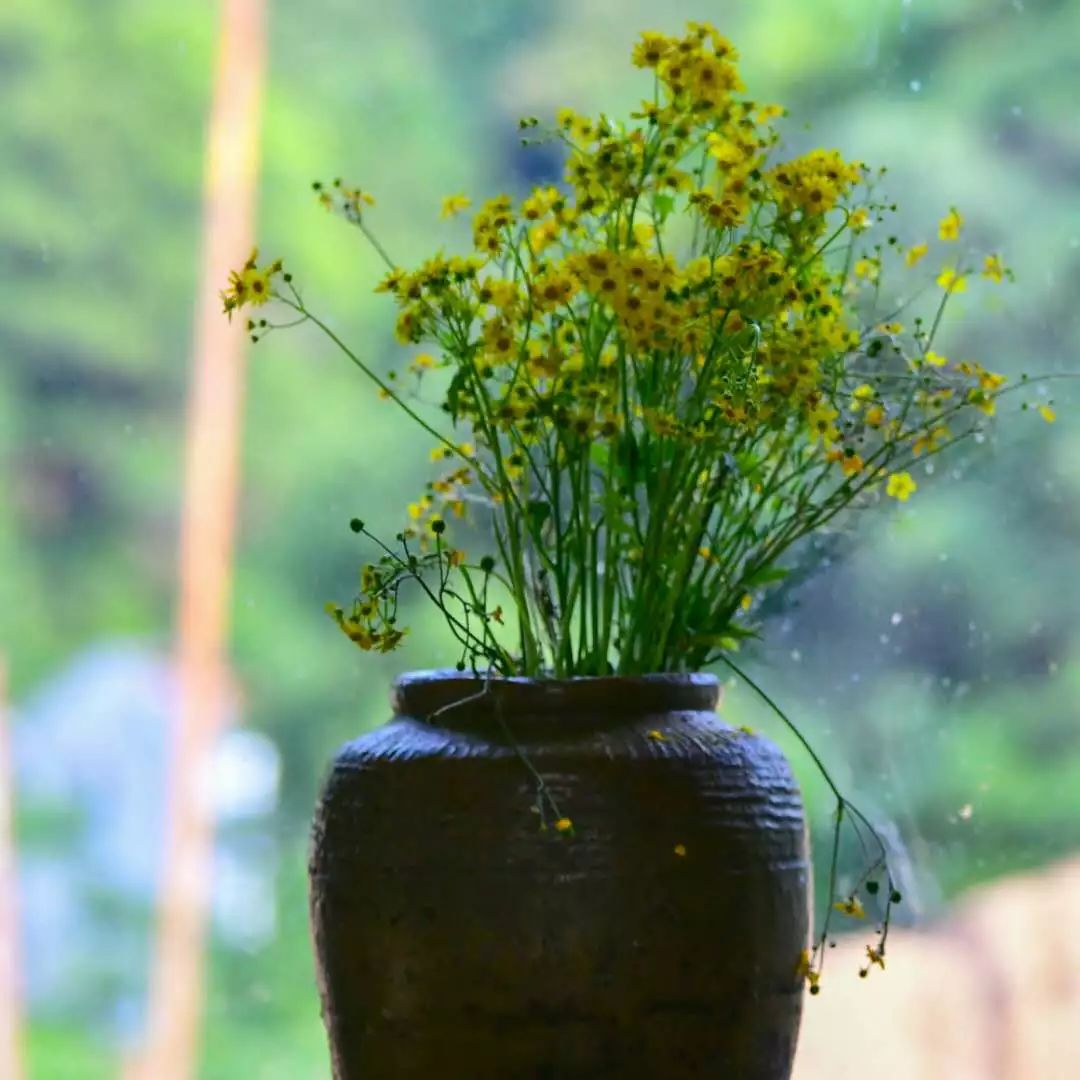 金華·村尚村宿，認(rèn)識自然尋回久違的童真