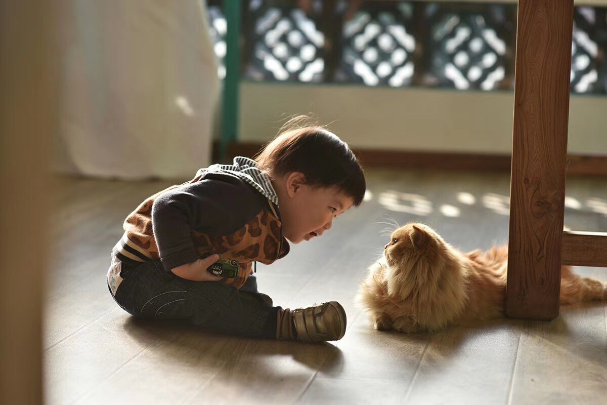 覺(jué)園1984，創(chuàng)造一個(gè)時(shí)空錯(cuò)亂的夢(mèng)境