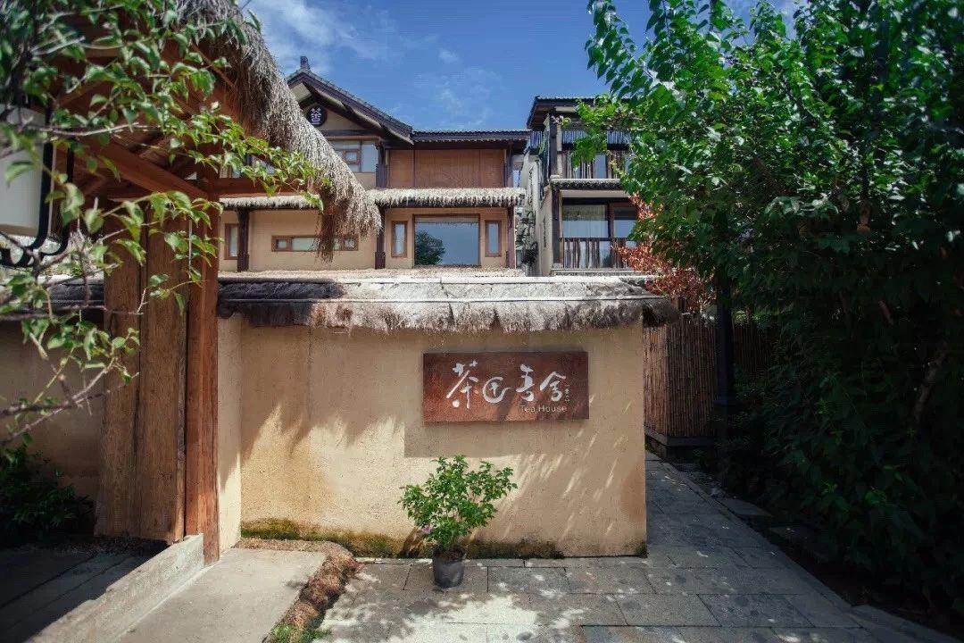 杭州·茶田秘境，有生之年盡情去折騰