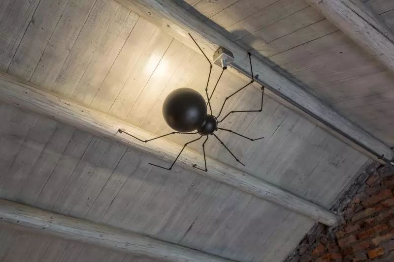 杭州·茶田秘境，有生之年盡情去折騰