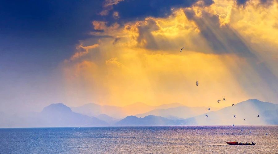 杭州·茶田秘境，有生之年盡情去折騰