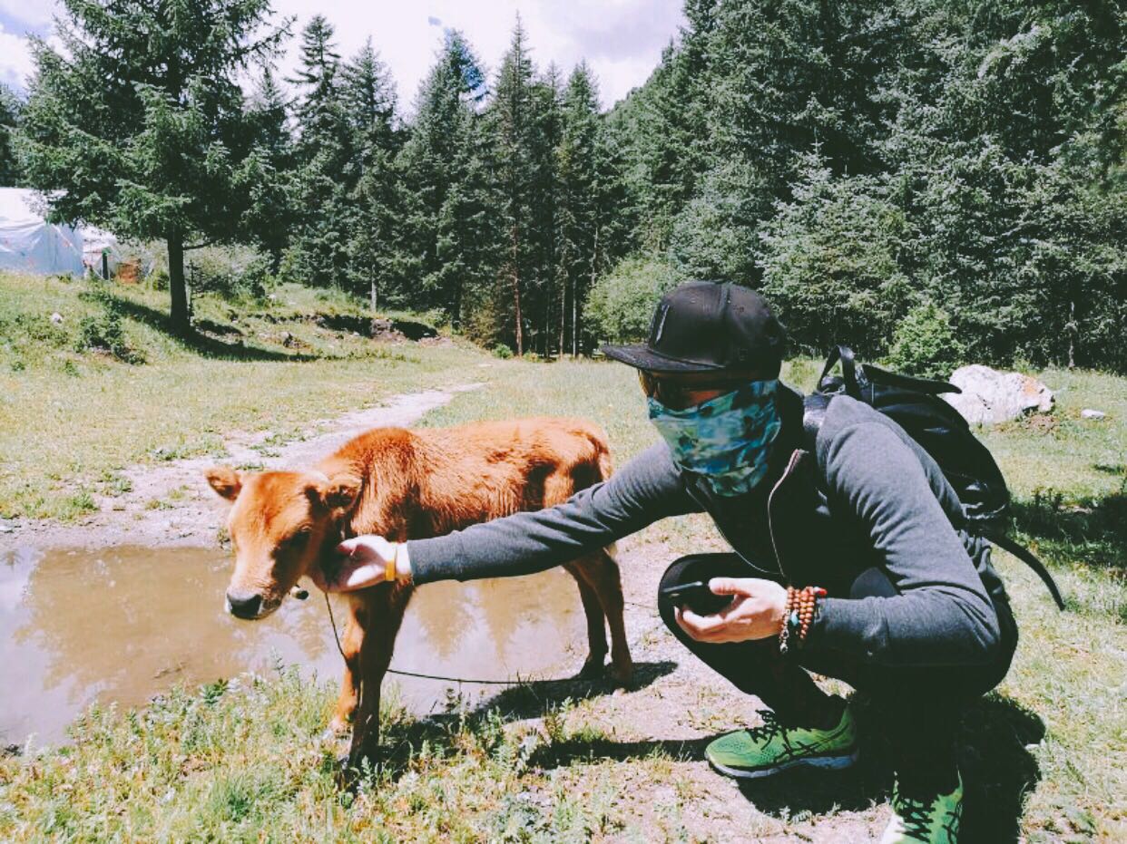 杭州·茶田秘境，有生之年盡情去折騰