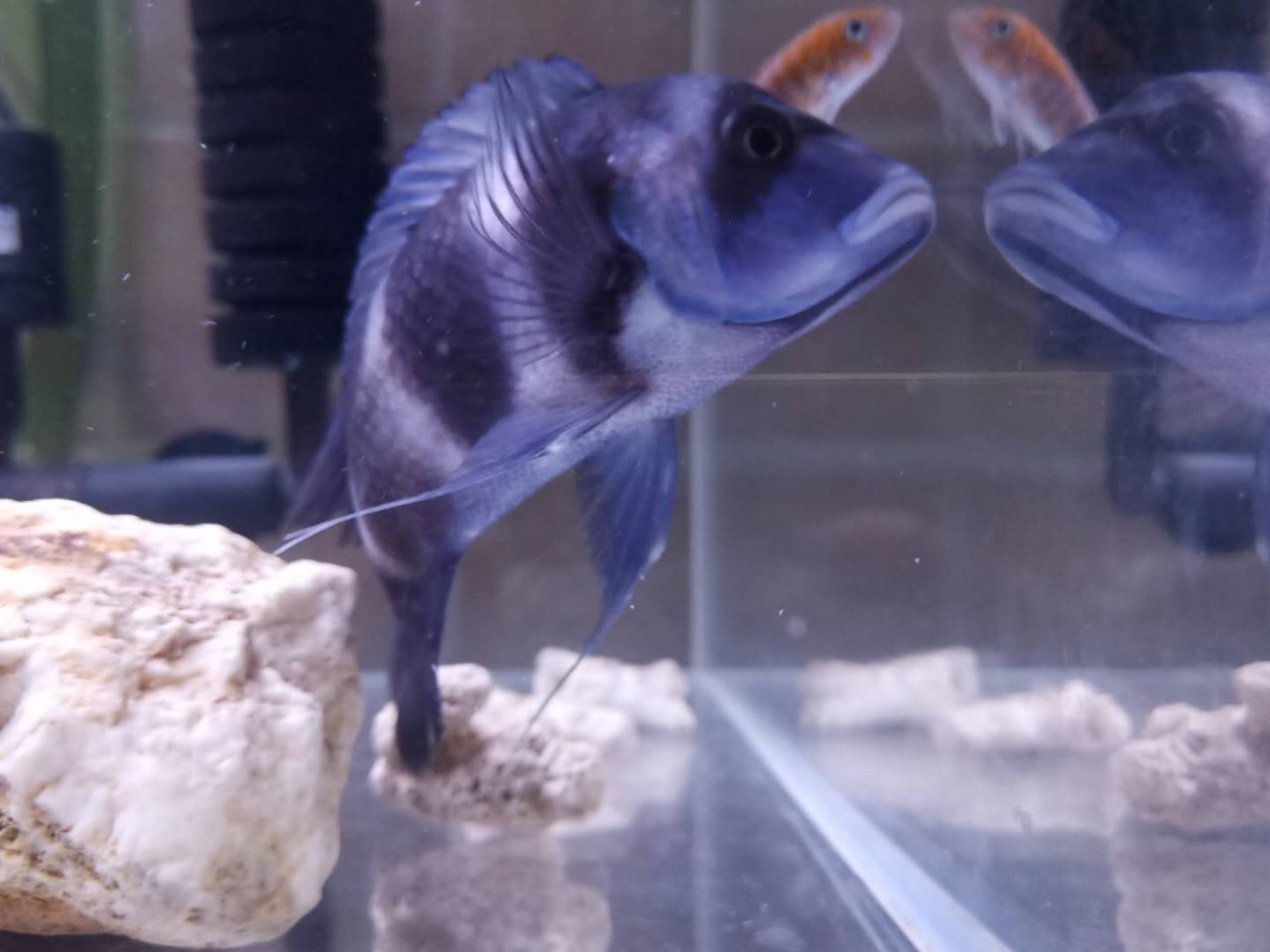 杭州·茶田秘境，有生之年盡情去折騰