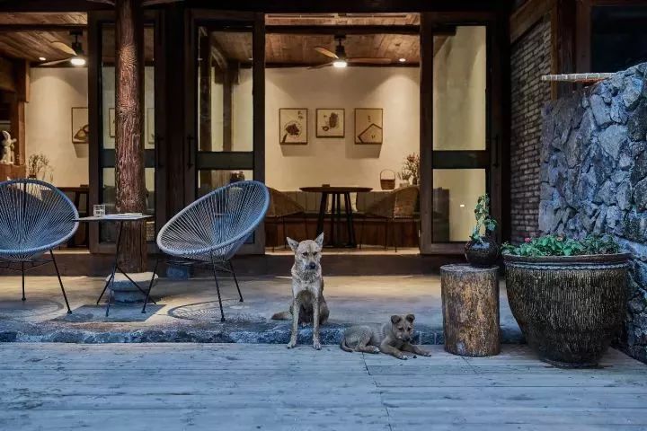 溫州·外水良藝境，一家溫州最美民宿之一