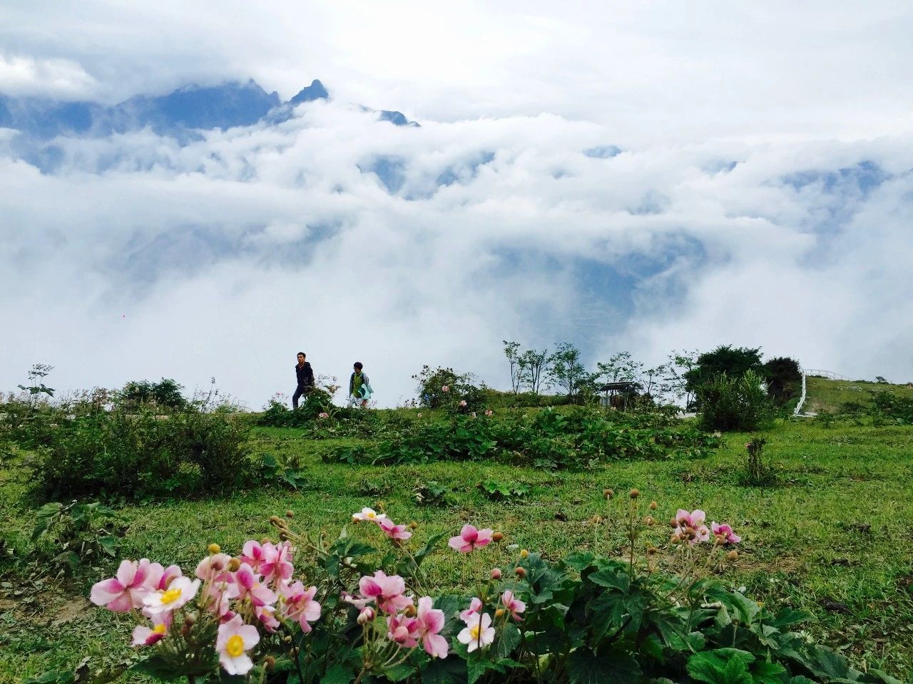 3家云端上的民宿美爆了:感受天空的美好