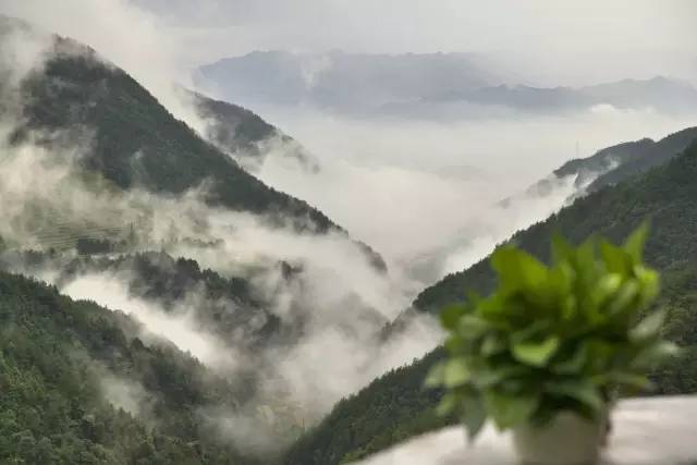 3家云端上的民宿美爆了:感受天空的美好