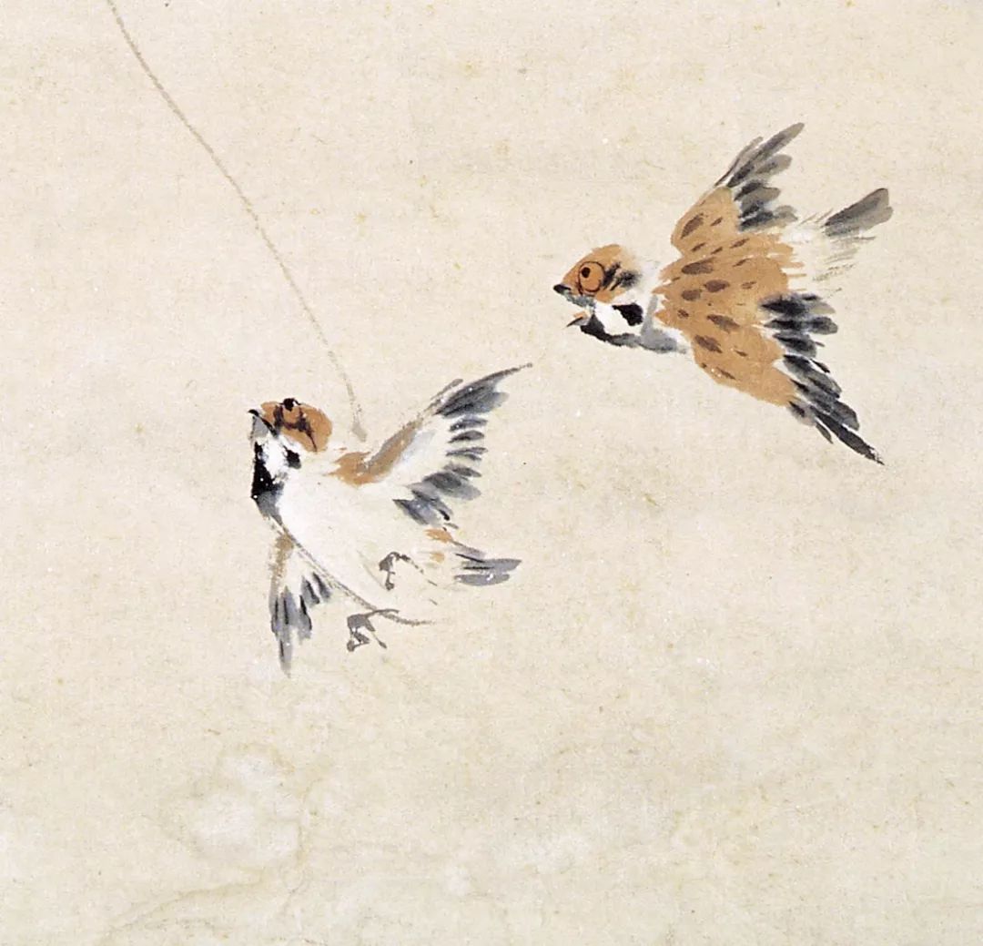 100幅禽鳥百圖，國(guó)畫鳥類美醉了！