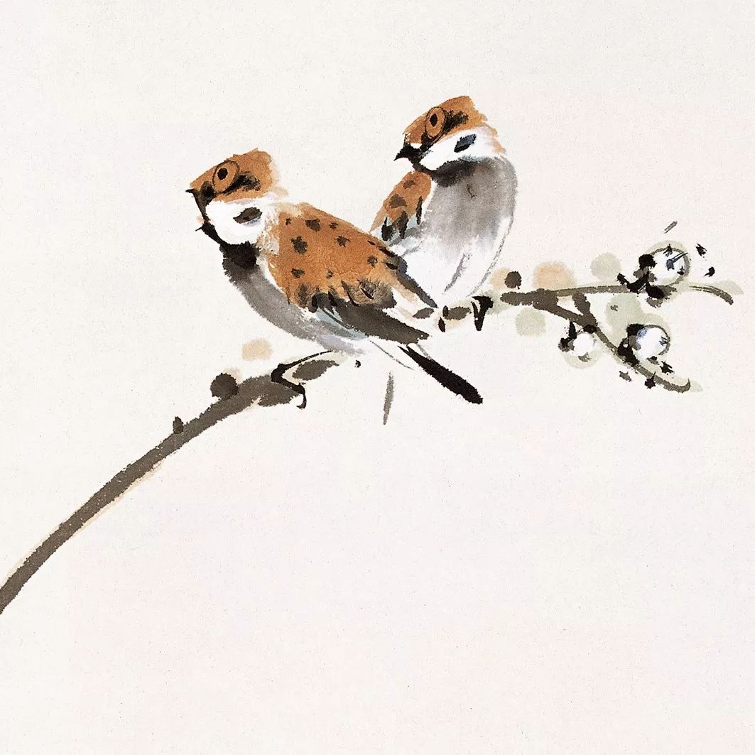 100幅禽鳥百圖，國(guó)畫鳥類美醉了！