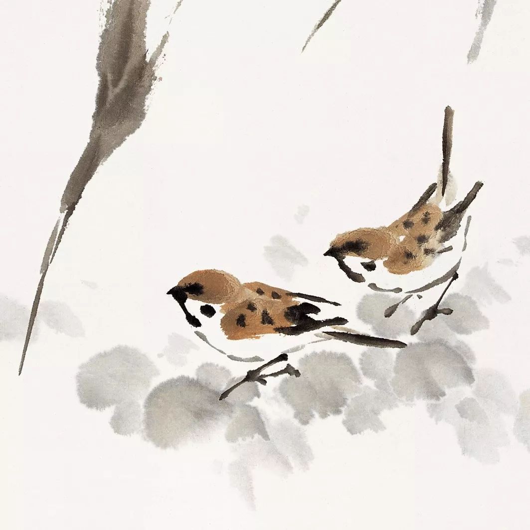 100幅禽鳥百圖，國(guó)畫鳥類美醉了！