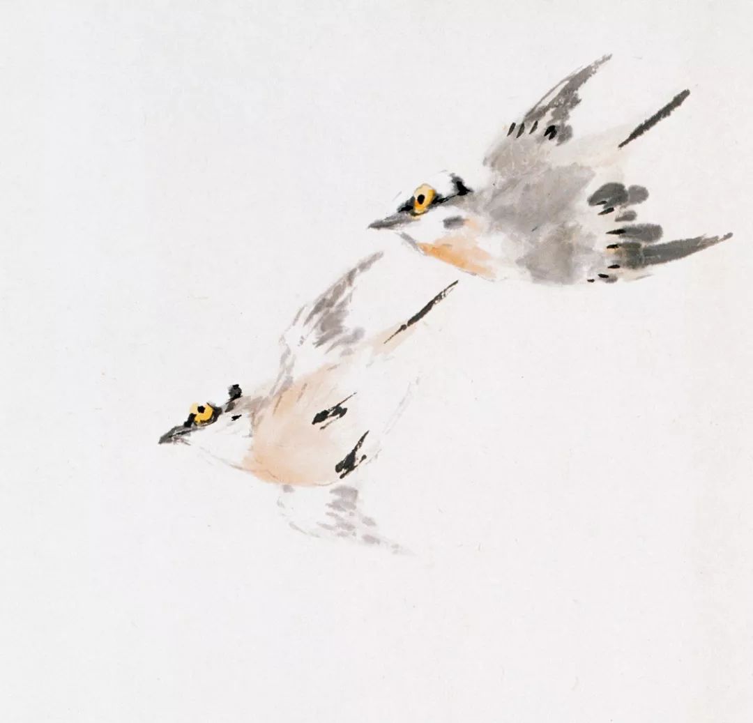 100幅禽鳥百圖，國(guó)畫鳥類美醉了！