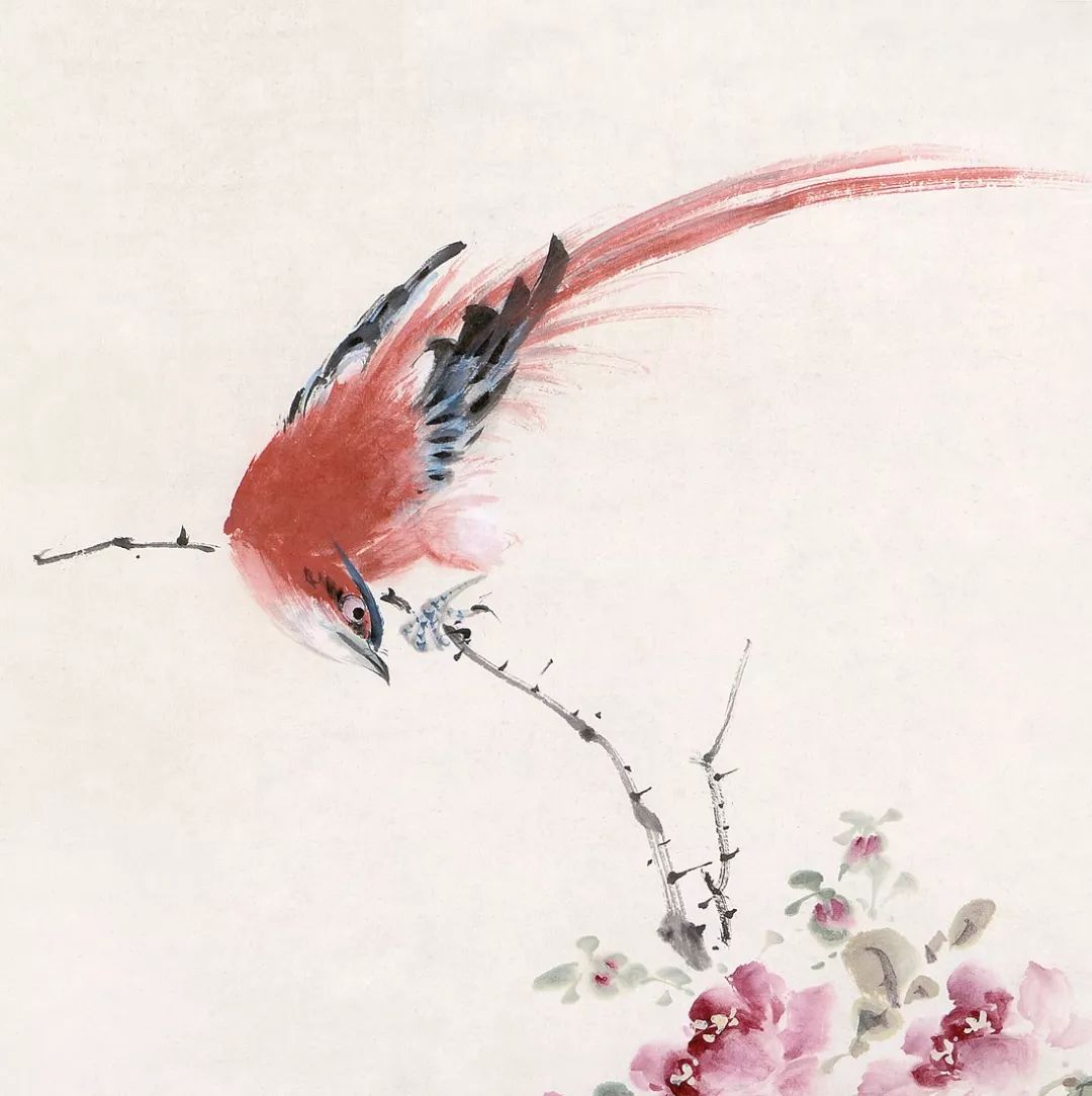 100幅禽鳥百圖，國(guó)畫鳥類美醉了！