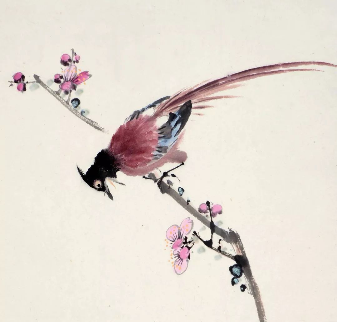 100幅禽鳥百圖，國(guó)畫鳥類美醉了！