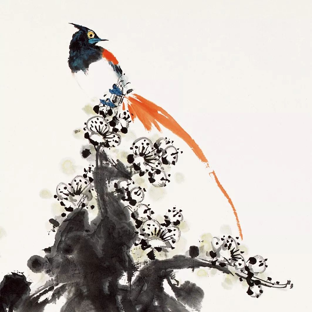 100幅禽鳥百圖，國(guó)畫鳥類美醉了！