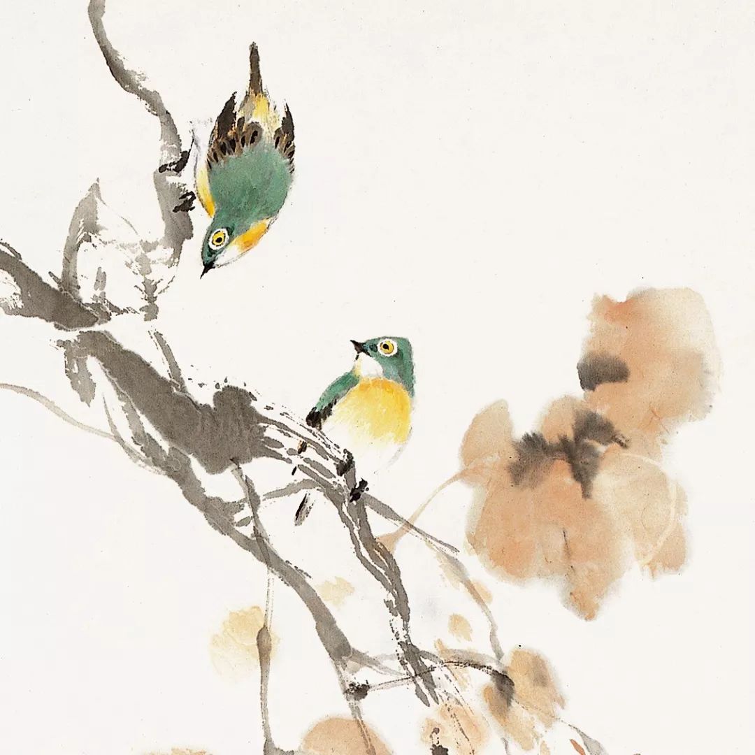 100幅禽鳥百圖，國(guó)畫鳥類美醉了！