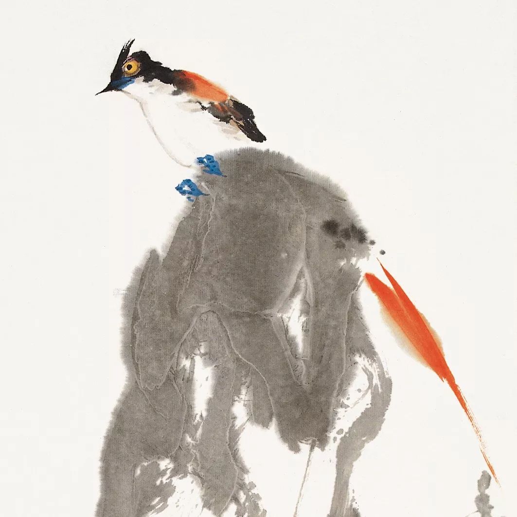 100幅禽鳥百圖，國(guó)畫鳥類美醉了！