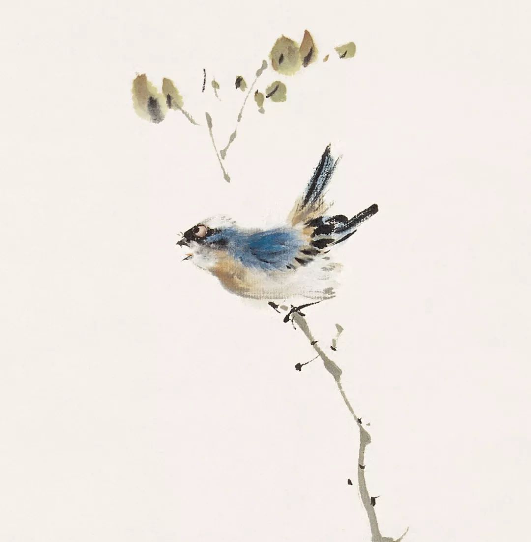 100幅禽鳥百圖，國(guó)畫鳥類美醉了！