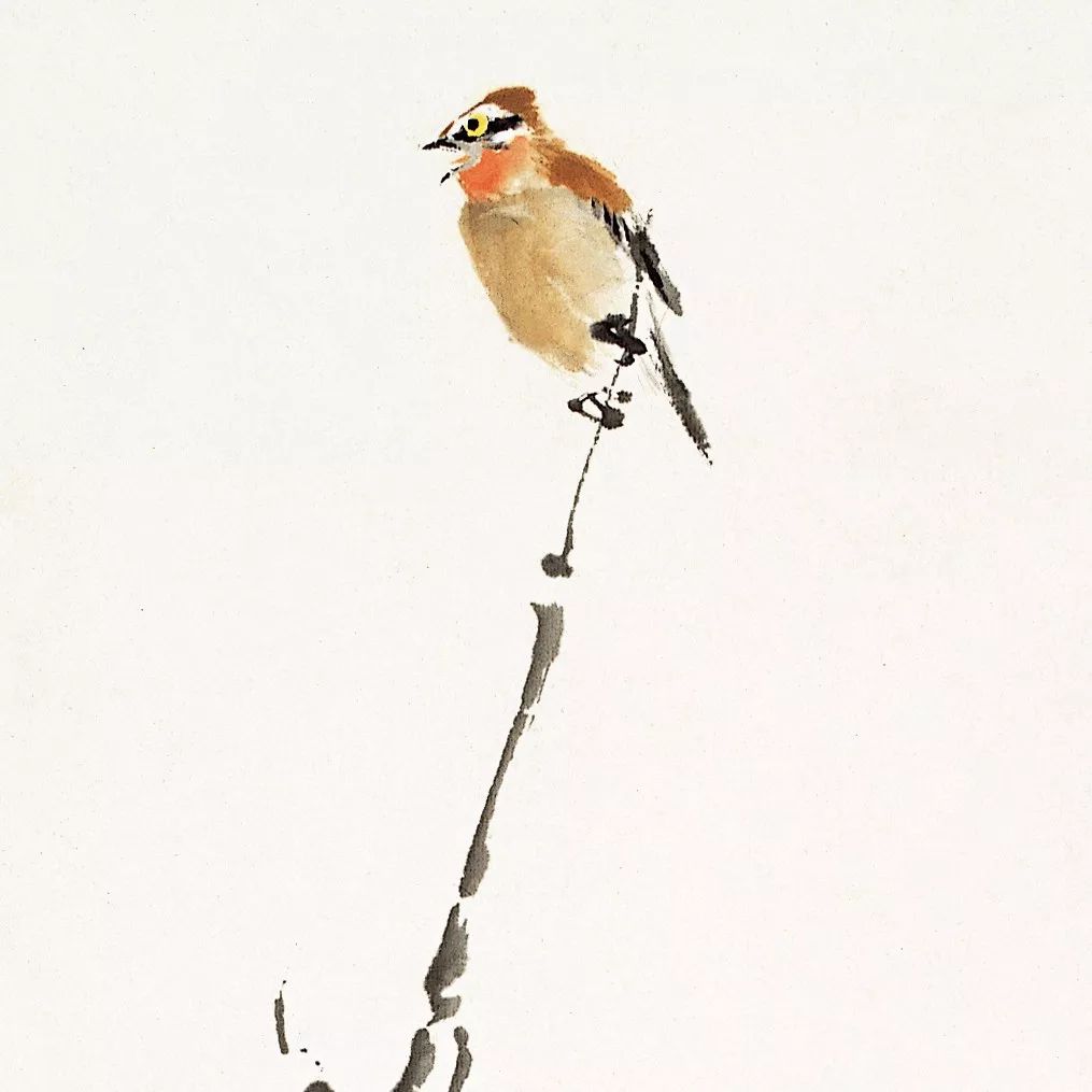 100幅禽鳥百圖，國(guó)畫鳥類美醉了！