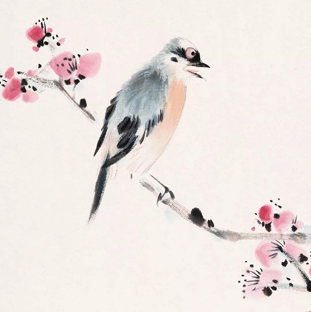 100幅禽鳥百圖，國(guó)畫鳥類美醉了！