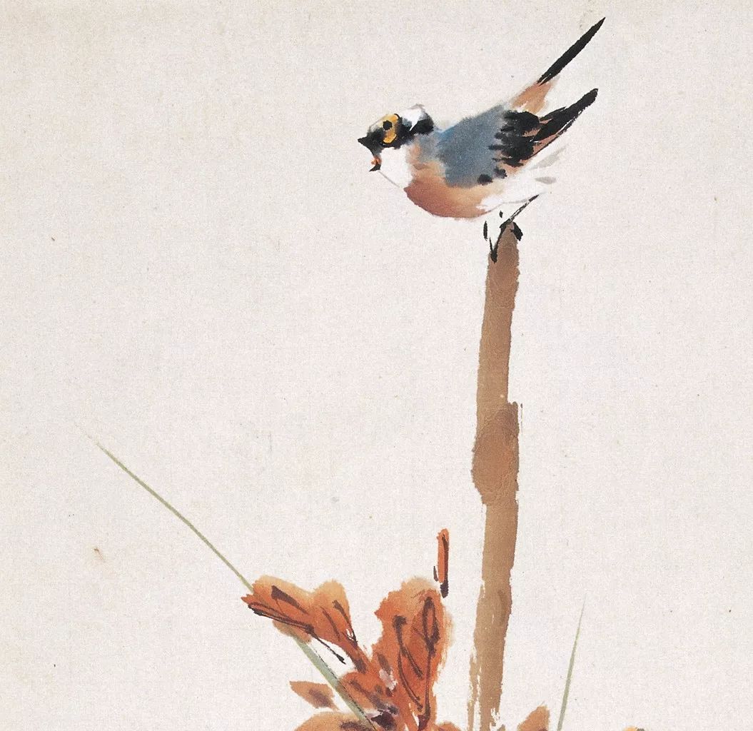 100幅禽鳥百圖，國(guó)畫鳥類美醉了！