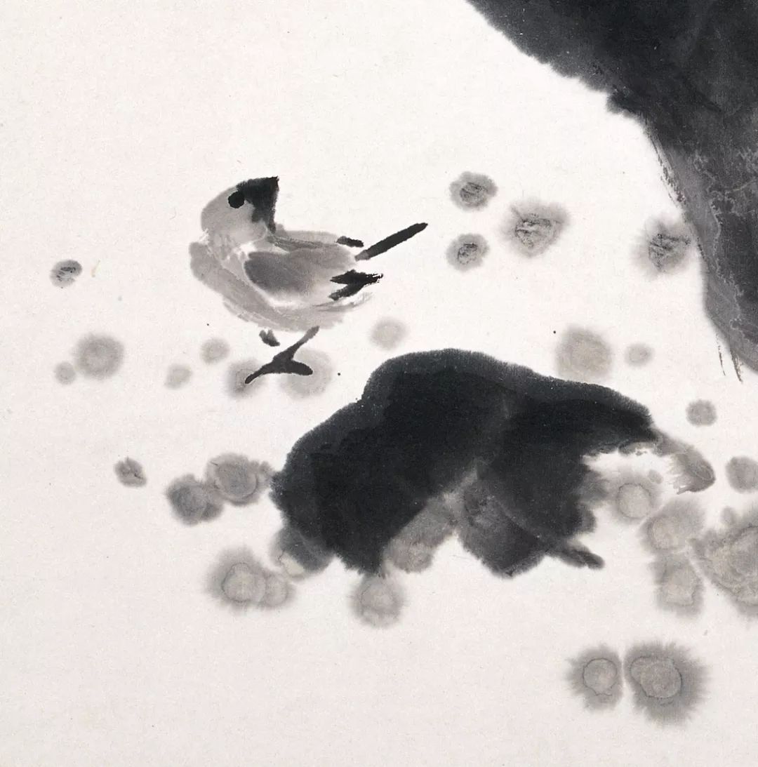 100幅禽鳥百圖，國(guó)畫鳥類美醉了！