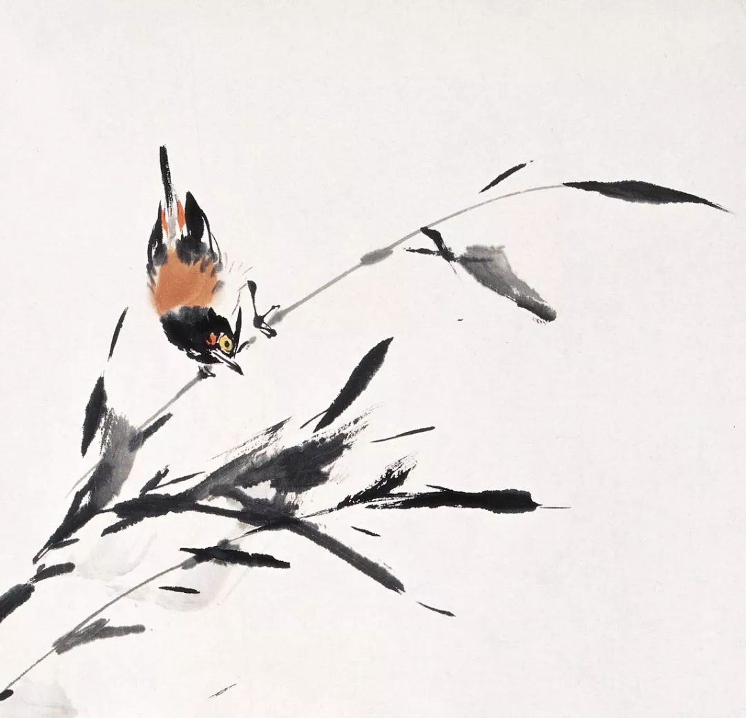 100幅禽鳥百圖，國(guó)畫鳥類美醉了！