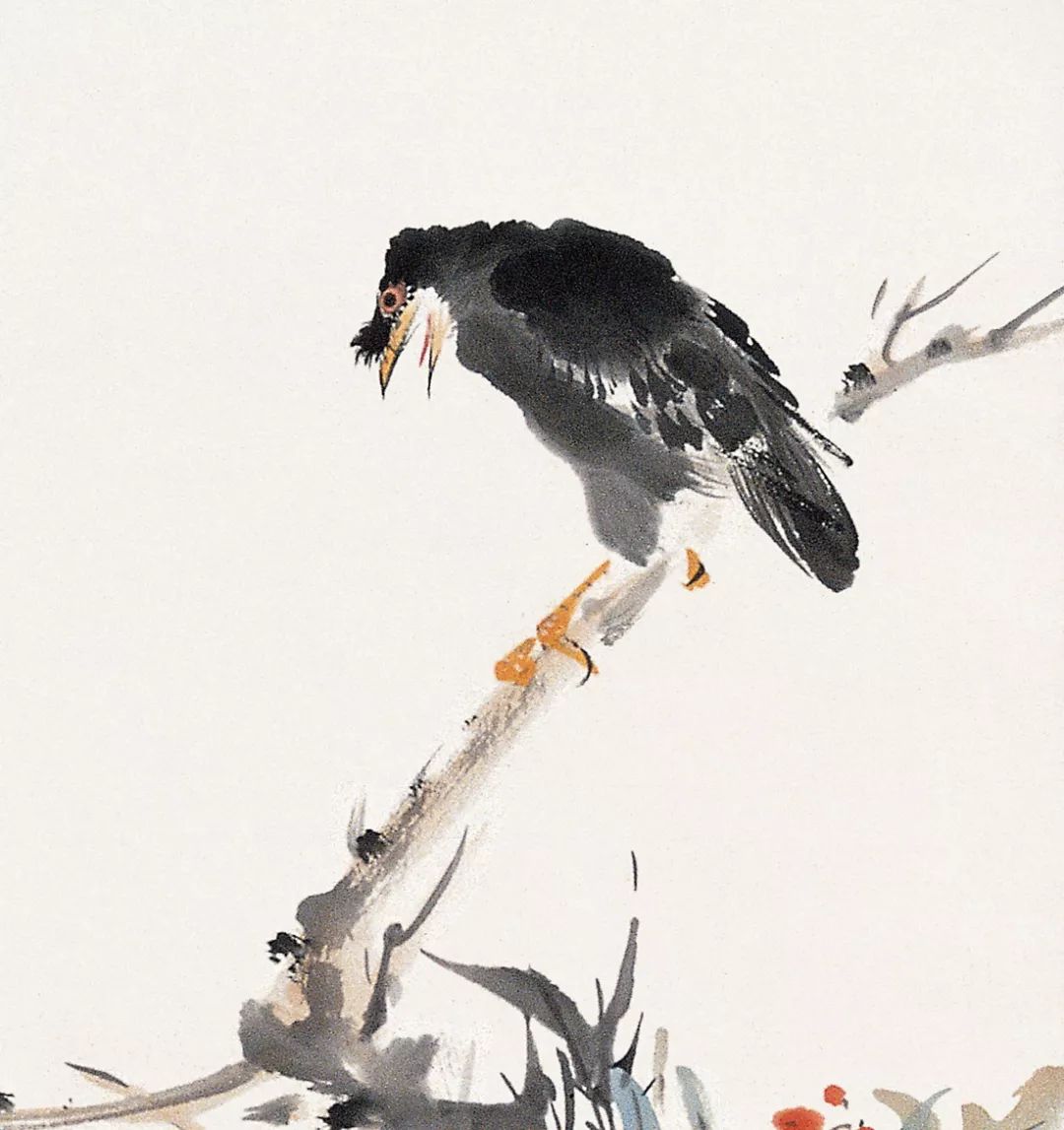 100幅禽鳥百圖，國(guó)畫鳥類美醉了！