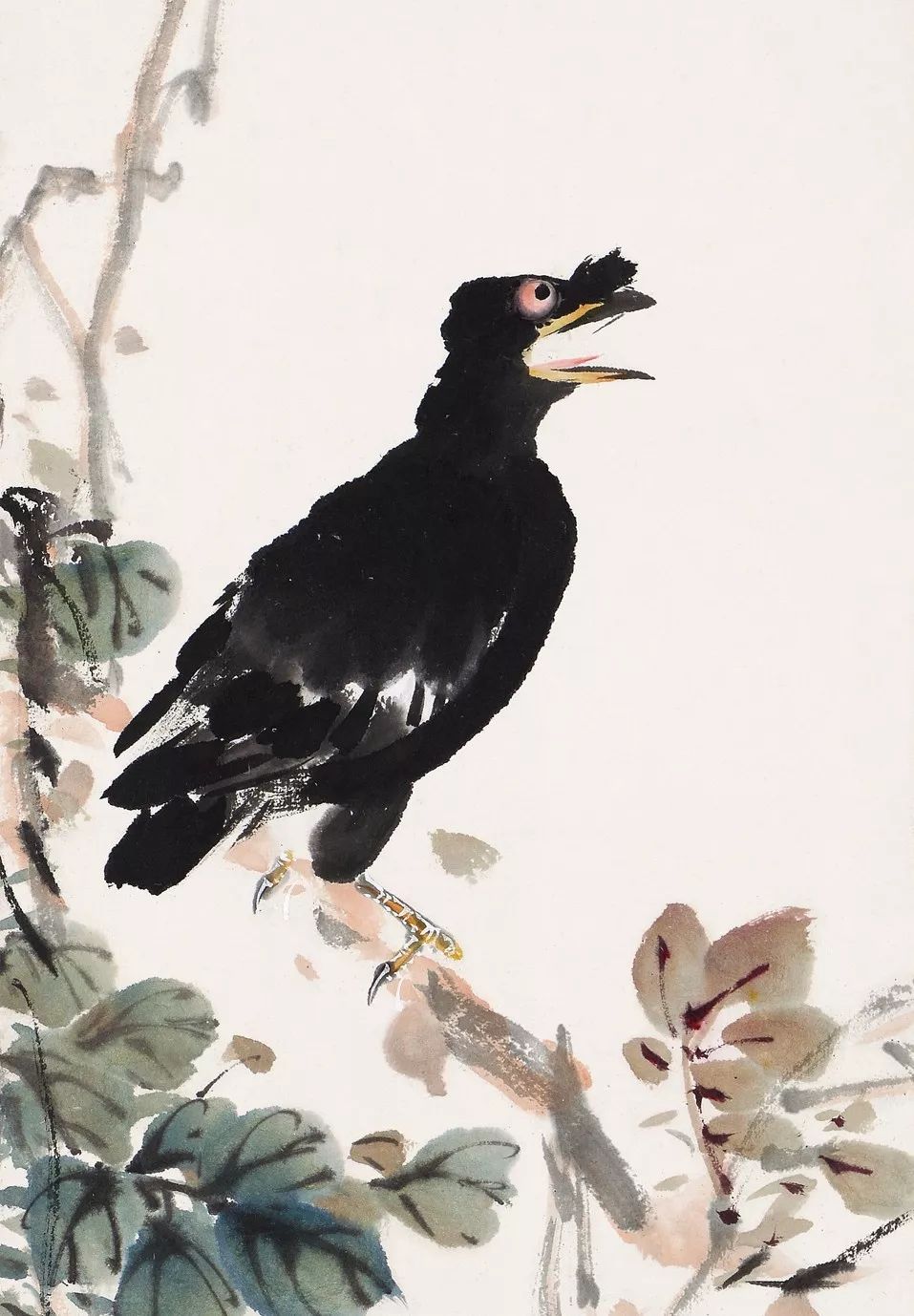 100幅禽鳥百圖，國(guó)畫鳥類美醉了！