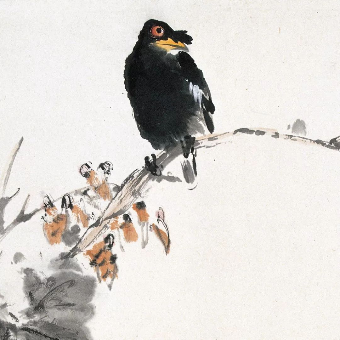 100幅禽鳥百圖，國(guó)畫鳥類美醉了！