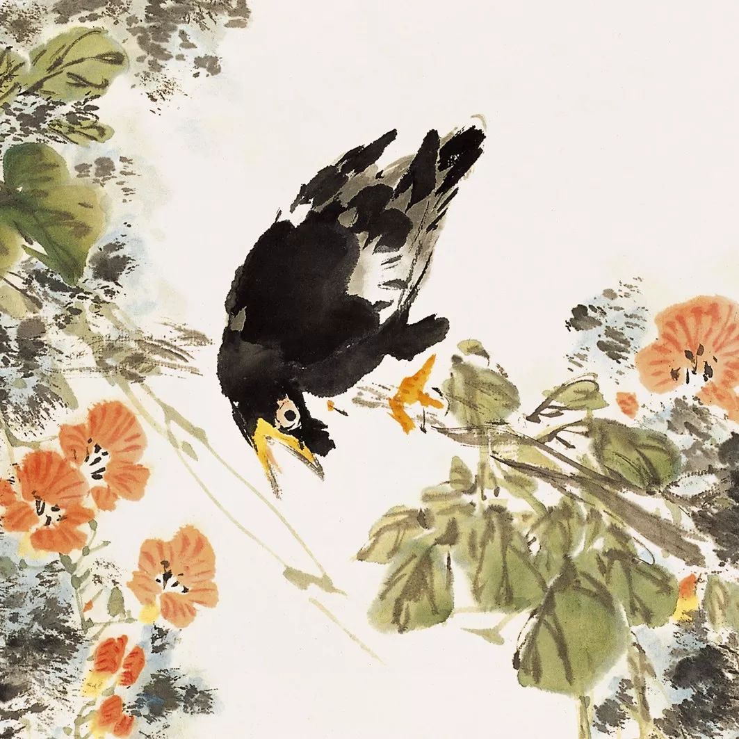 100幅禽鳥百圖，國(guó)畫鳥類美醉了！