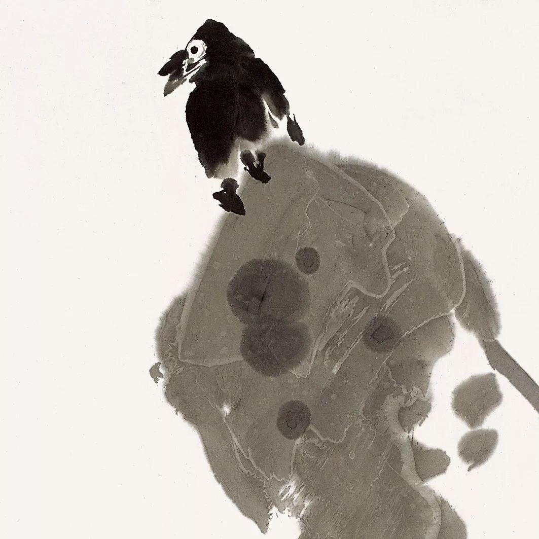 100幅禽鳥百圖，國(guó)畫鳥類美醉了！