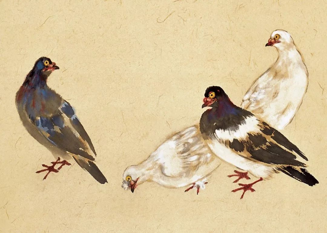100幅禽鳥百圖，國畫鳥類美醉了！
