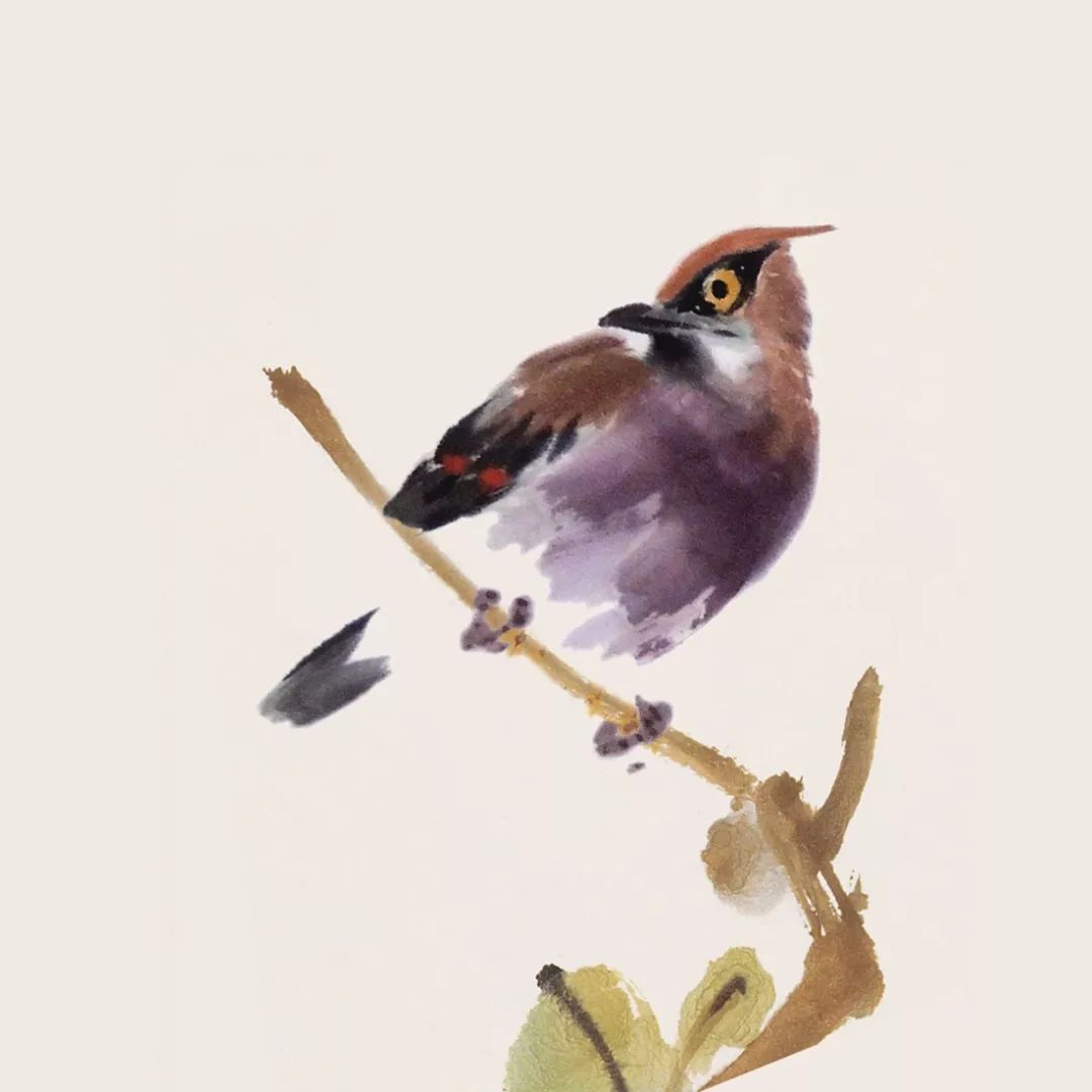 100幅禽鳥百圖，國畫鳥類美醉了！